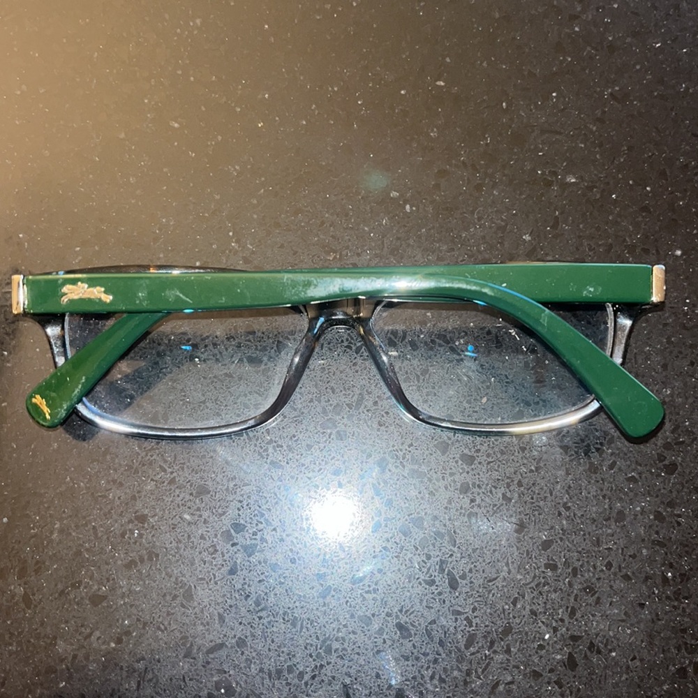 Longchamp Designer Tortoise Frames - image 8